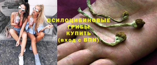 ECSTASY Алексин
